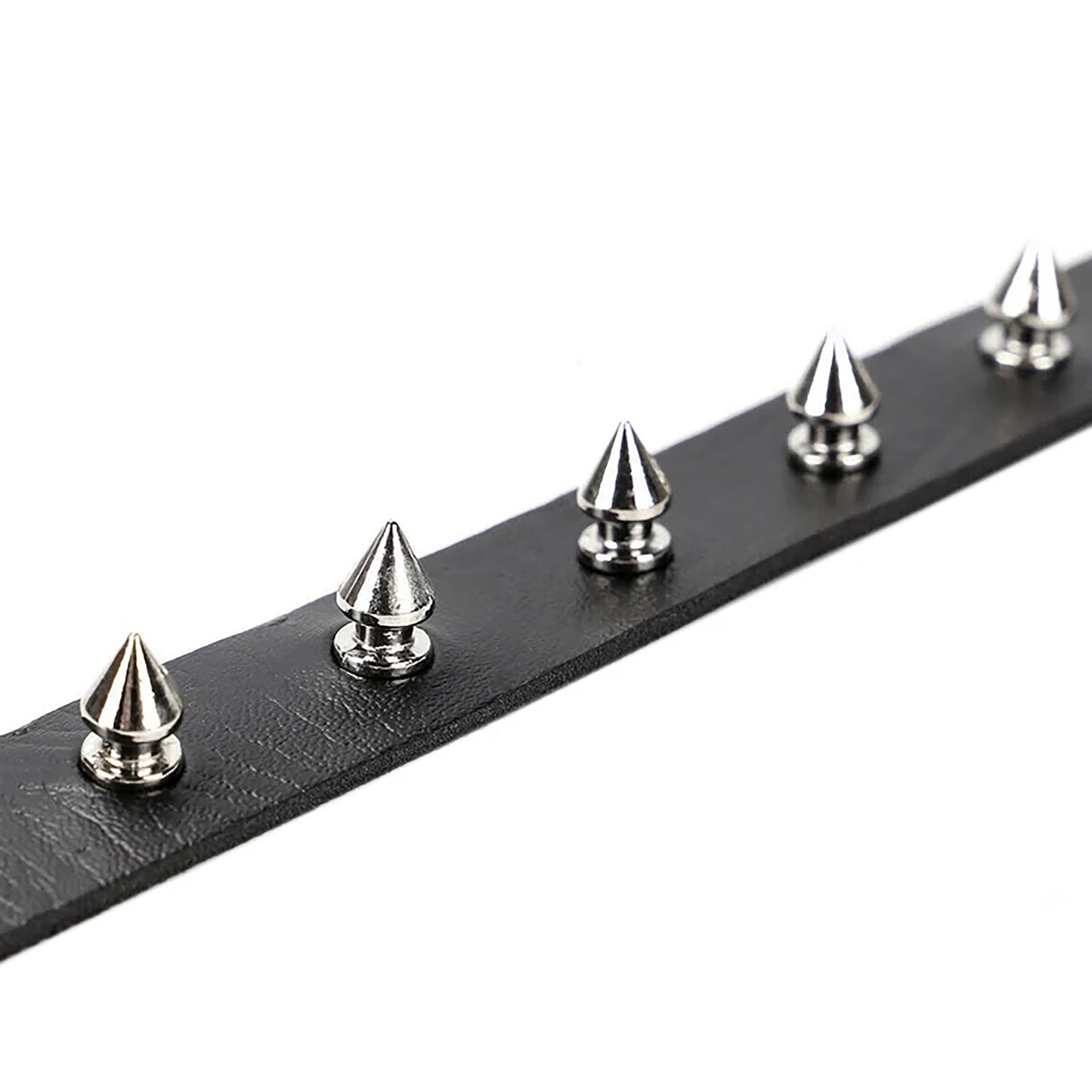 Electra Spike Collar